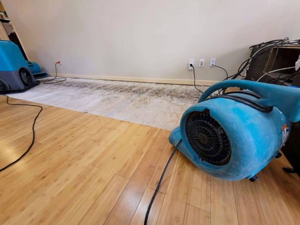 Professional Sewage Cleanup technician working in Lakeview, NY